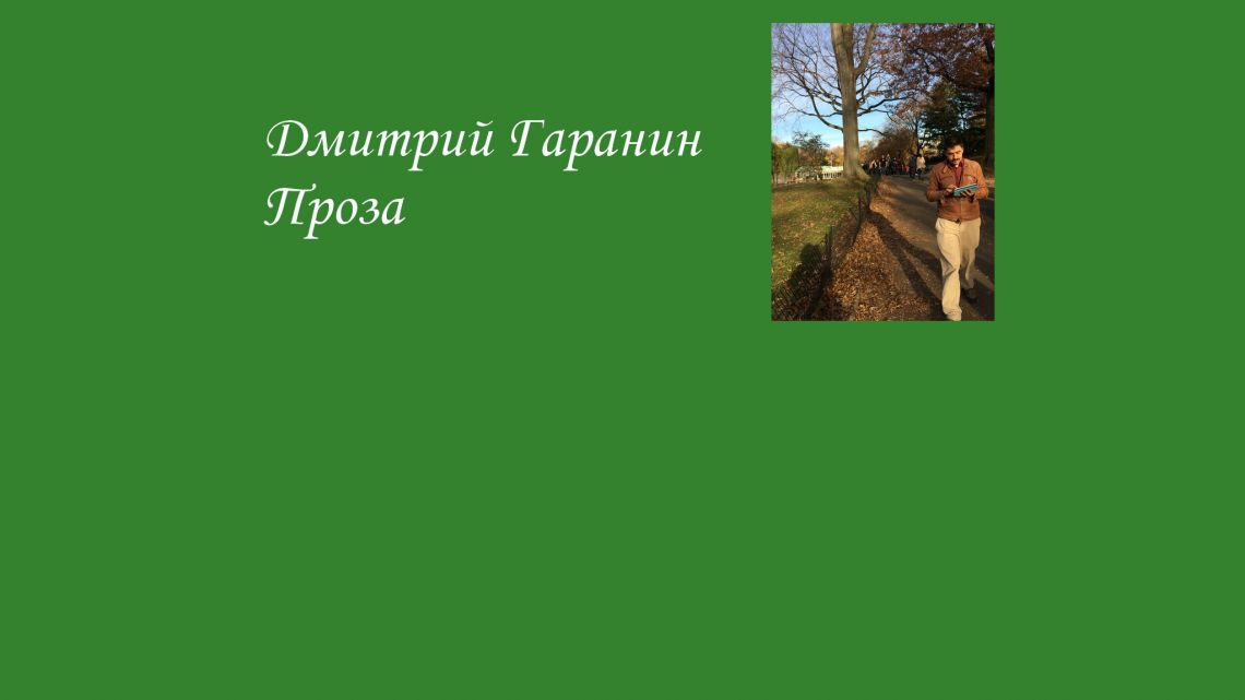 Дмитрий Гаранин: Прелюдия к битве