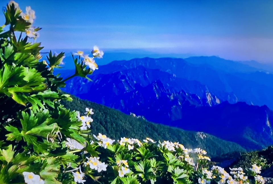ЛУНЫЙ месяцЛунный месяц на заре, светит матушке земле.Горы гордые стоят, скалы в мраморе стоят. А в низовье у реки, распускаются цветы.Старике баран пасут, а под елью детвора. Словно белки у гнезда, молоко парное пьют. Я смеются словно шут,